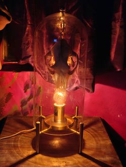 Oddity Collectors ONLY Skull Glass Lamp