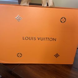 Louis Vuitton Speedy Bandoulière 20 Multicolor Shoulder Bag 