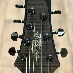 Schecter Guitar