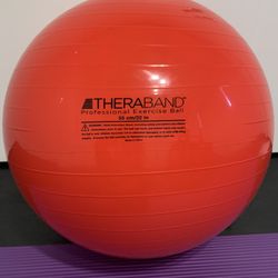 TheraBand Professional Exercise Ball