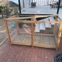Chick/Bird Cage