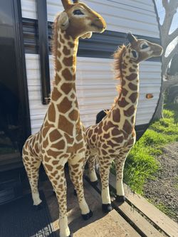 Stuffed Animal Giraffes