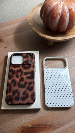 iPhone 17 pro max cases