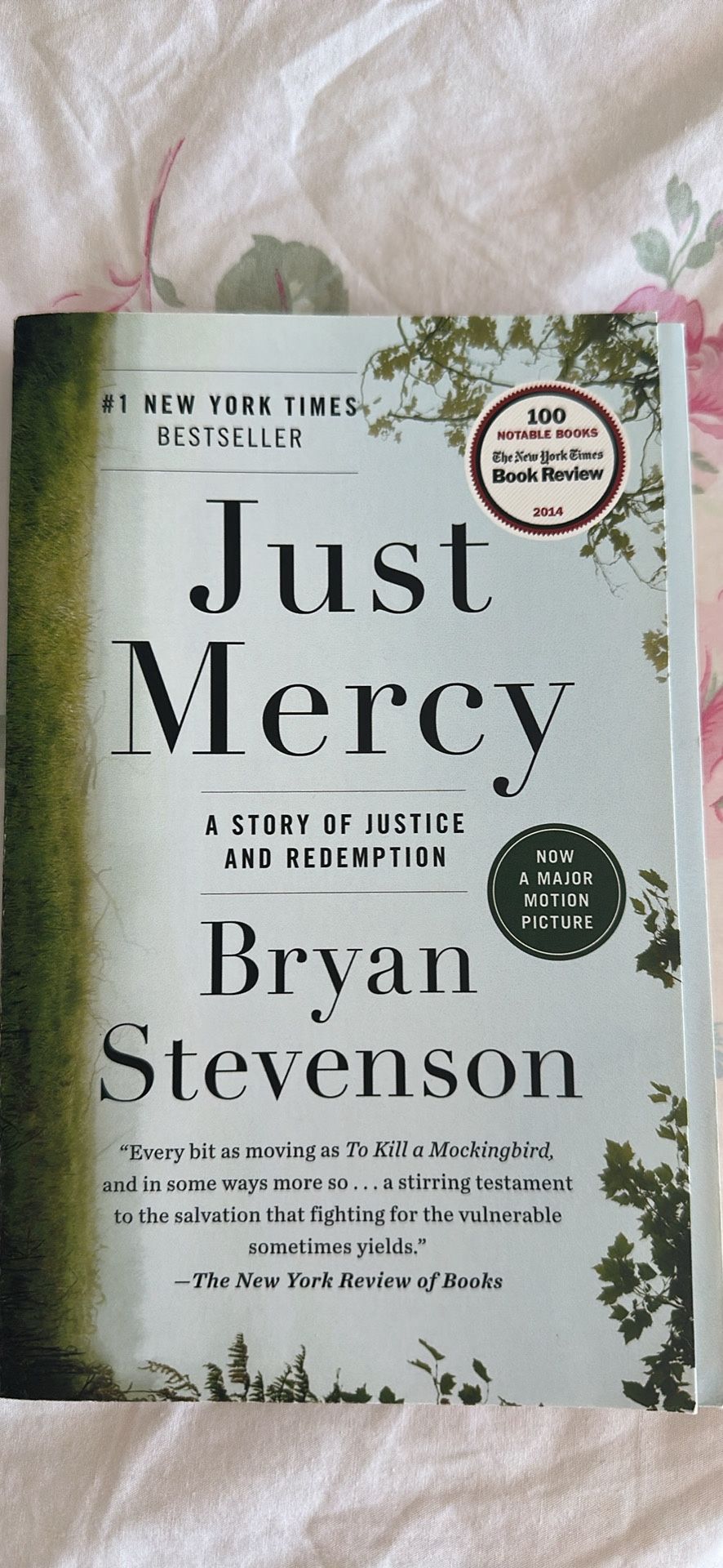 Just Mercy Book