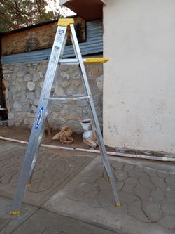 Ladder (6 feet tall )