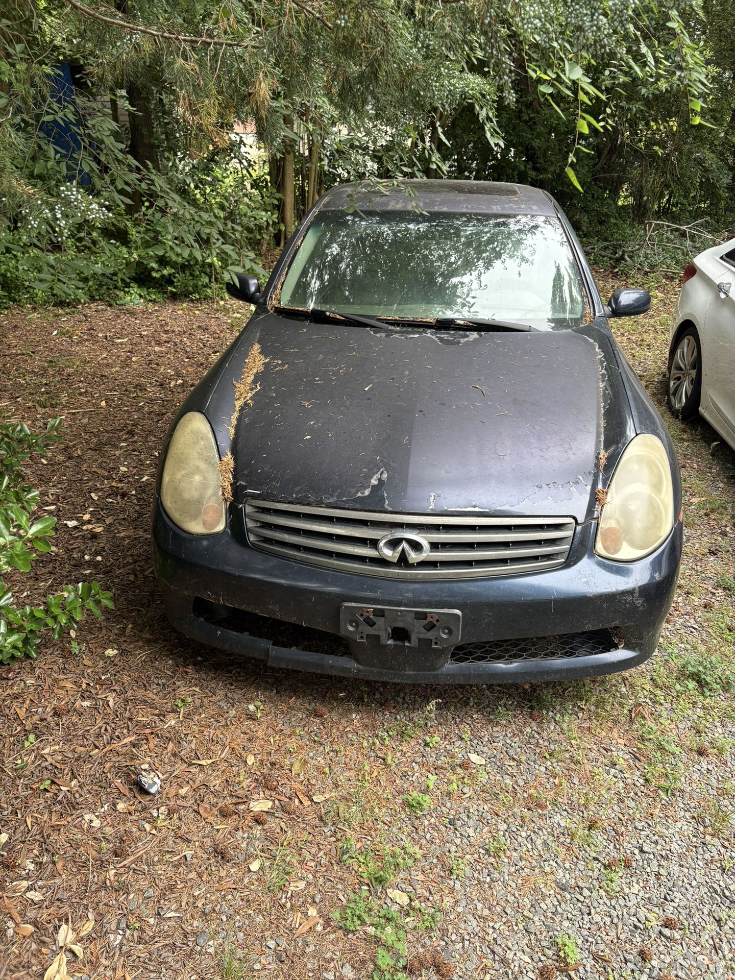 Infinite G 35