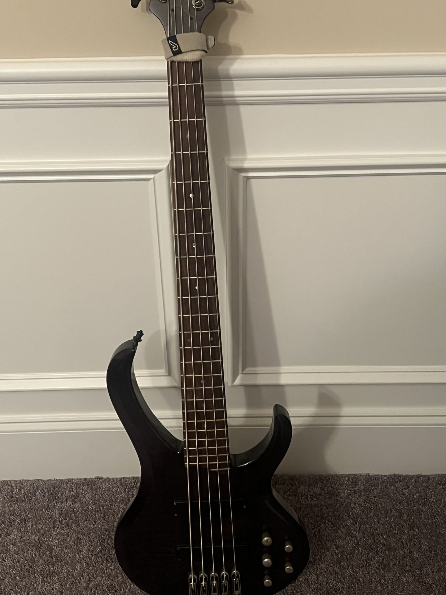 Bass Guitar