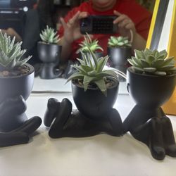 Succulents 3 Pair 