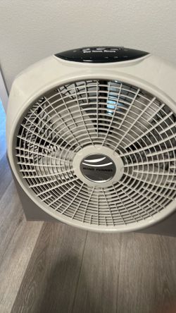 Fans