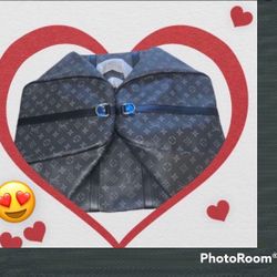 LV Designer Bag