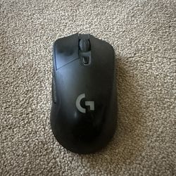 Mouse