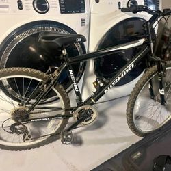 Men/Kids Bike