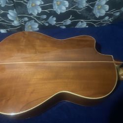 Guitarra De 12 Cuerdas