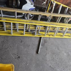 Ladders For Sale 