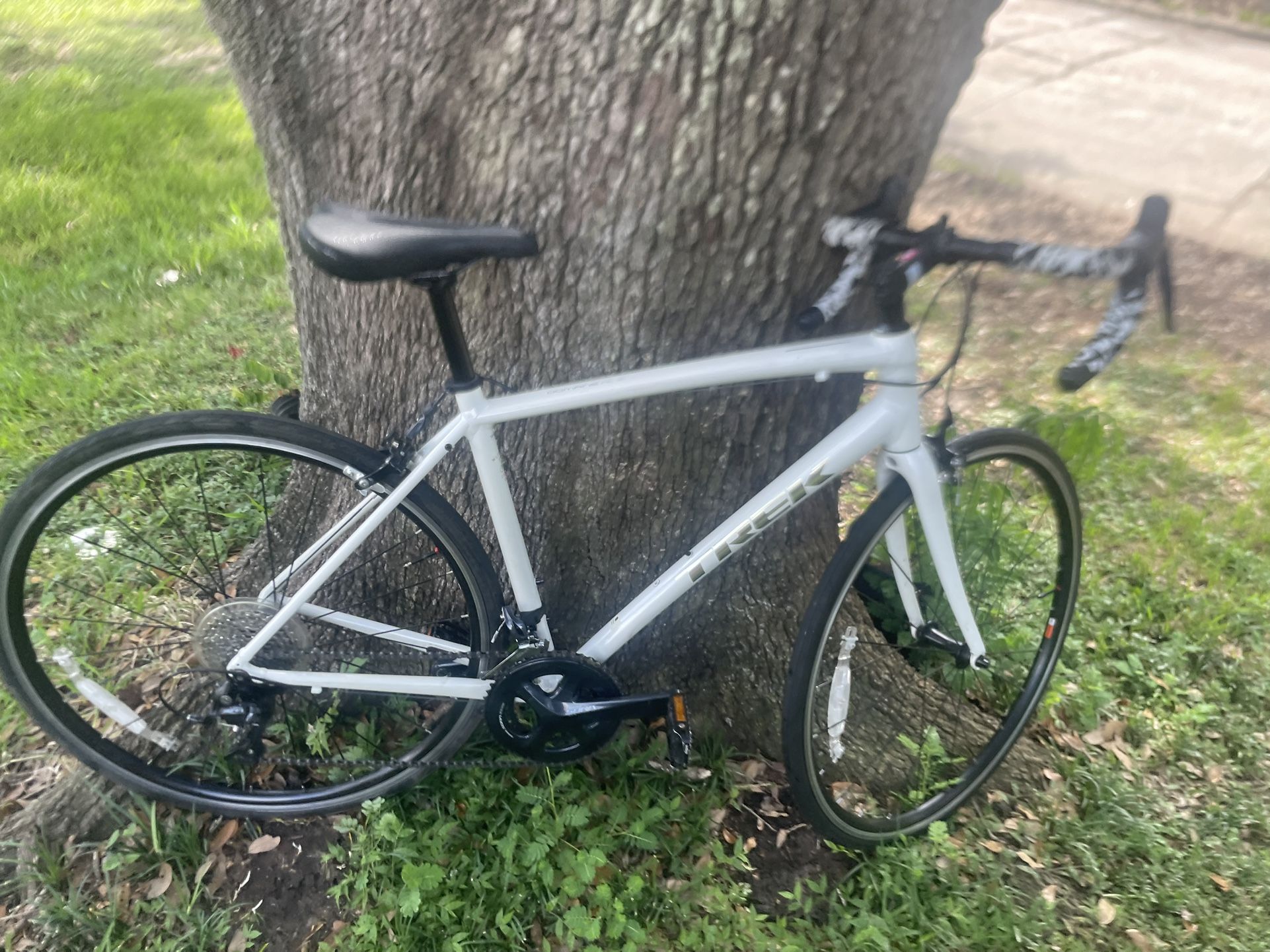 Trek Domane AL3 54cm