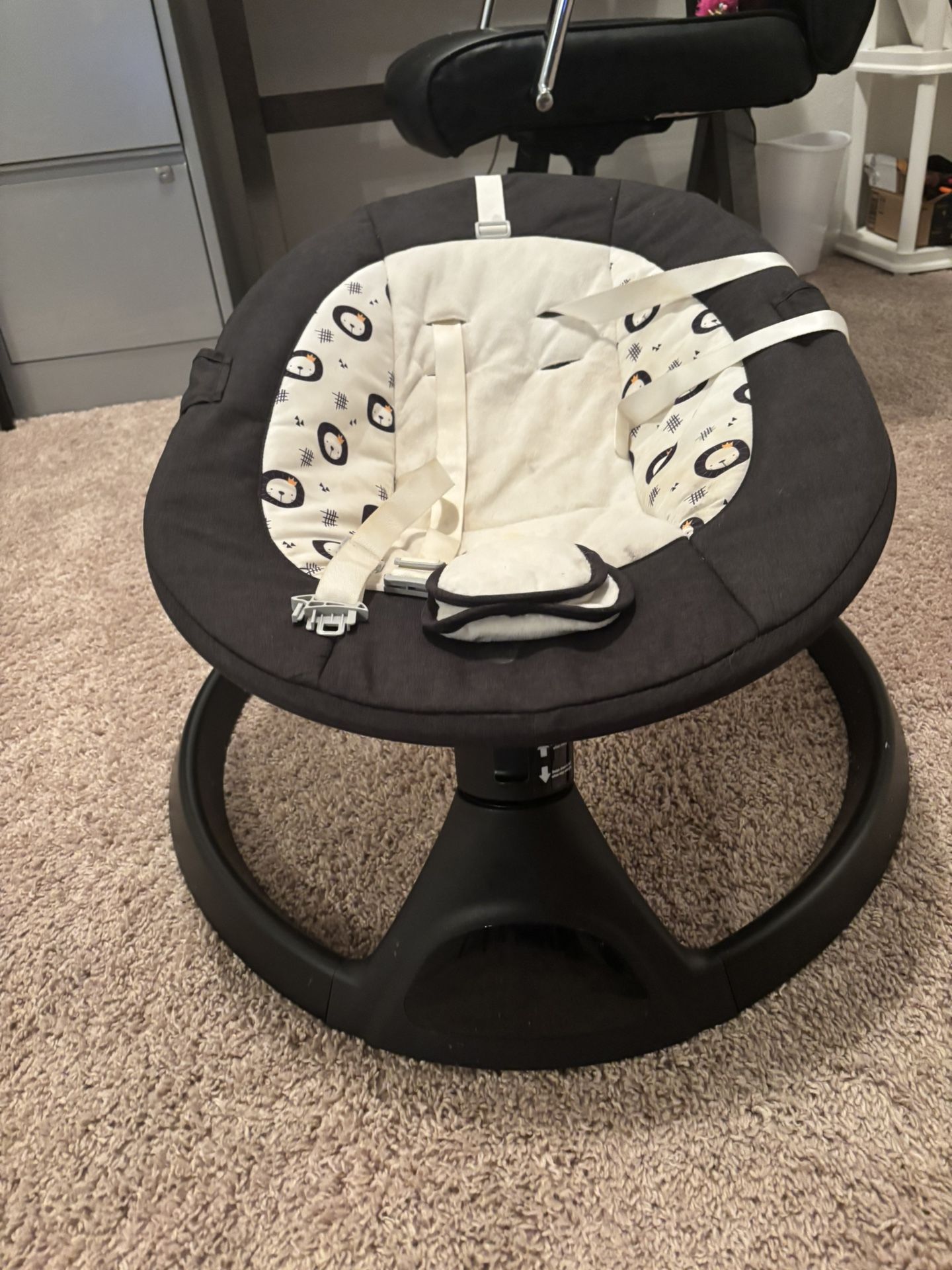 Baby Swing/bassinet