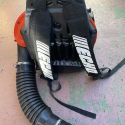 Blower Echo