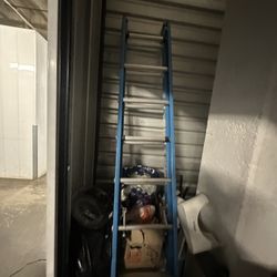 Amazing Multipurpose 10 Foot Extendable Ladder