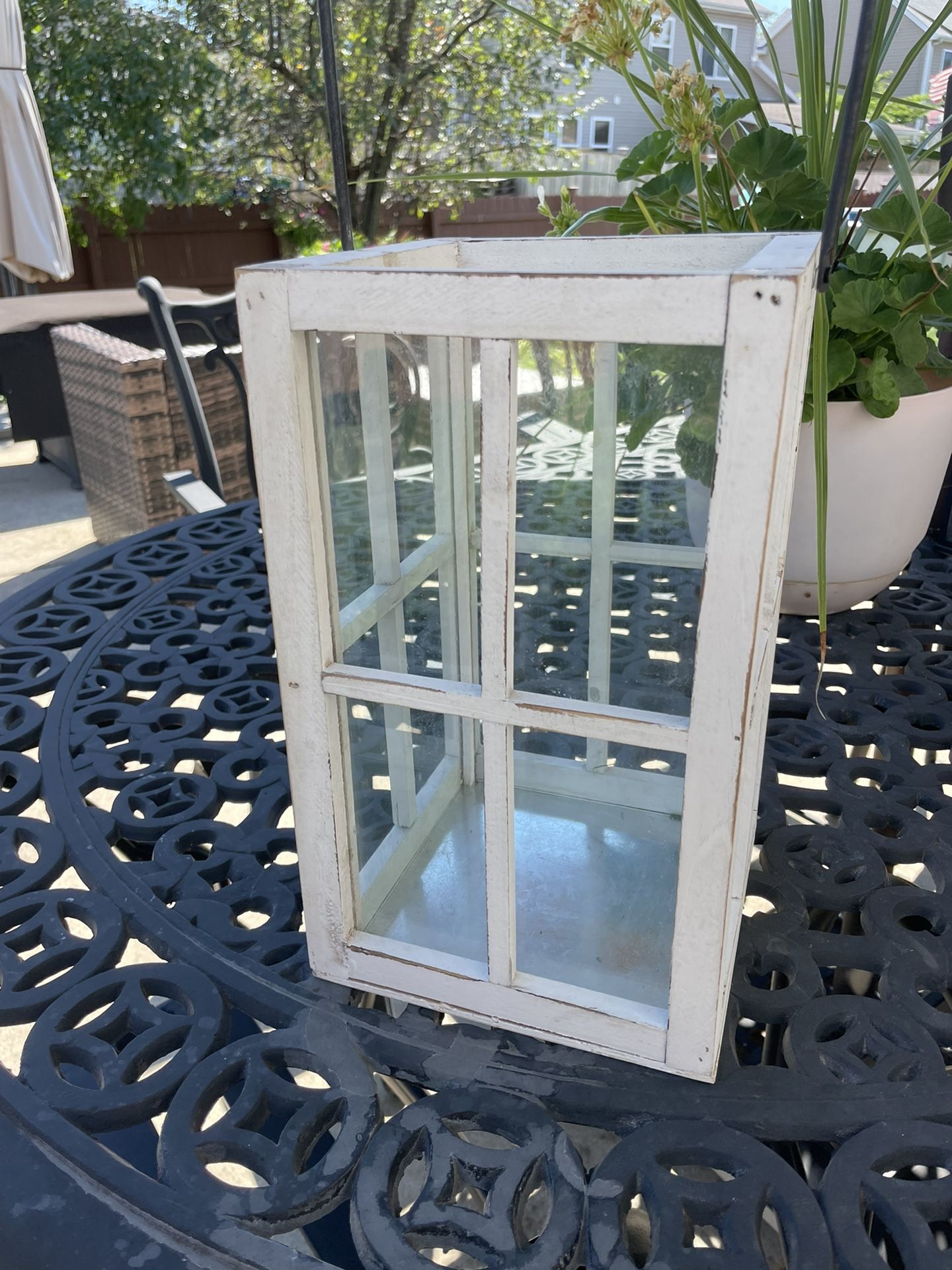 Window pane container With Cotton Stems