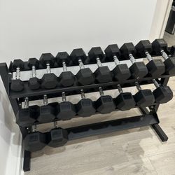5-50lbs Dumbbells w/Rack 