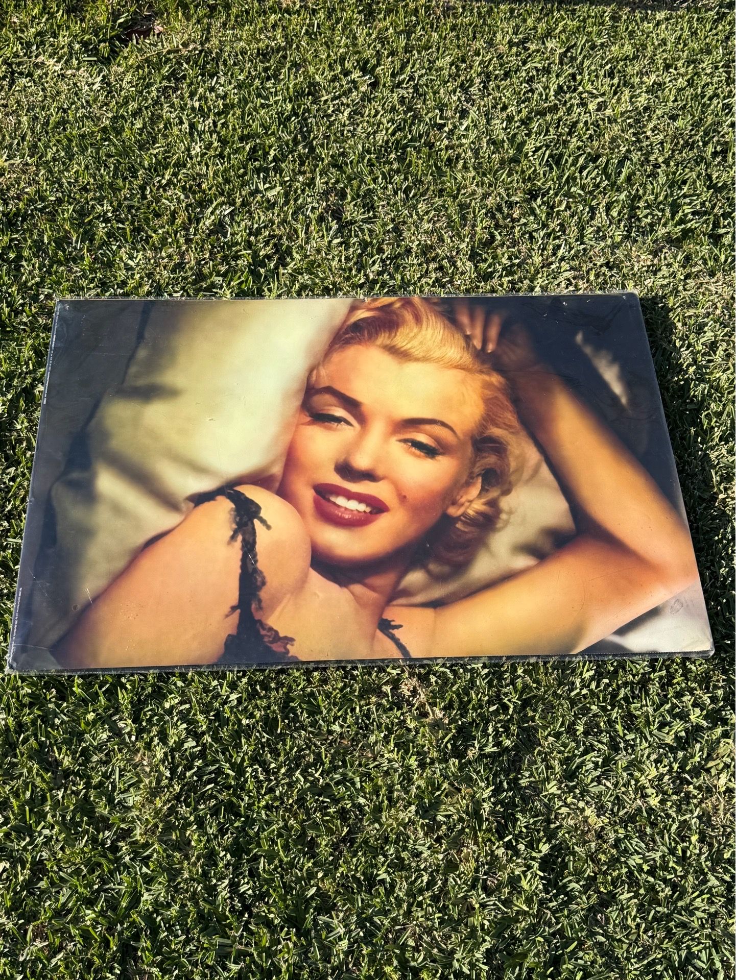 RARE 2004 Marilyn Monroe Poster Wall Art Rare Measures 36x24