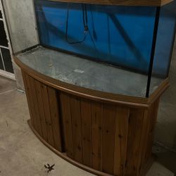 80 Gallon Fish Tank 