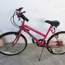 10 Speed Bike Pink 30"