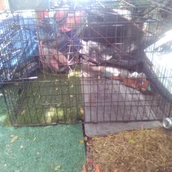 Large Dog Crate