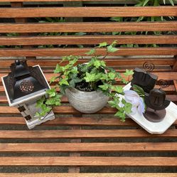 Ivy Plant, Lantern, Photo Holder Set & Mini Lift