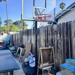 Free Basketball Hoop With New Rim