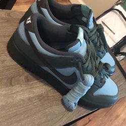 Nike Dunks Brand New!