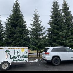 🚨 Heavy-Duty Landscaping / Utility Trailer – Ready to Work! 🚨