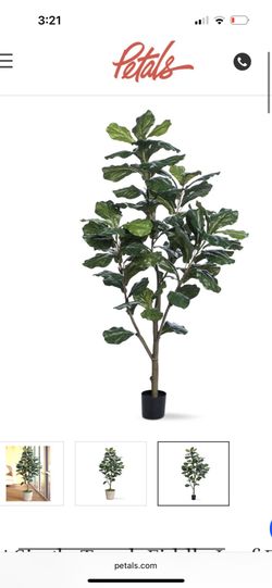 5’ Fiddle Leaf Fig Faux Plant (Still in Box)