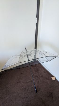 The Transparent Umbrella