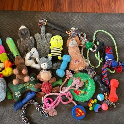 Dog Toys 