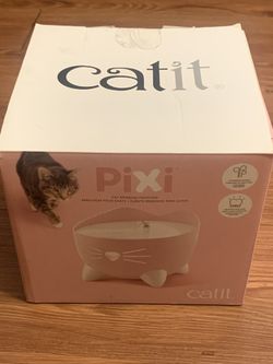 CAT 🐱 DRINKING  FOUNTAIN 