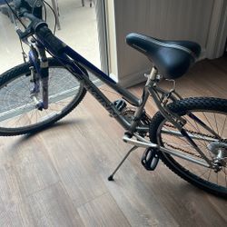 Schwinn Bike