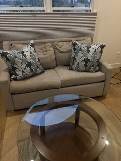Crate & Barrel pull out sofa & pillows