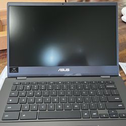 Asus 14’ Chromebook