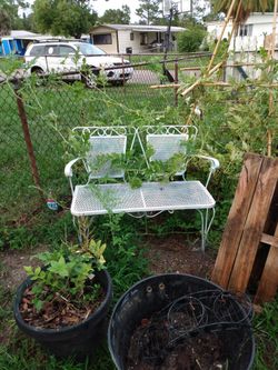 Wrought Iron Bench & Bouncing Chair 