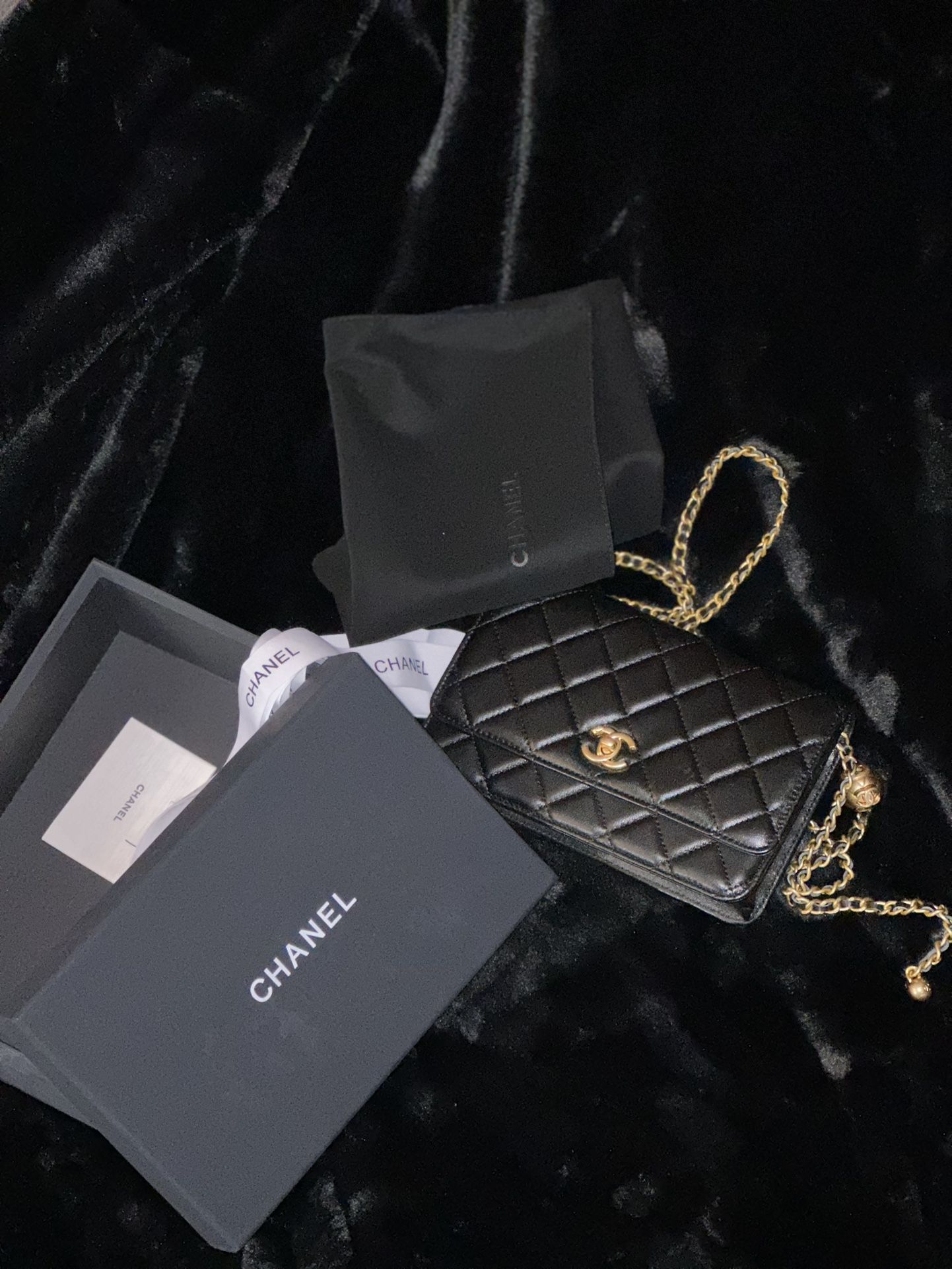 Chanel Wallet on Chain 2017 Cruise Collection Authentic for Sale in