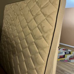 Sealy Plush Complete  King Bed $250