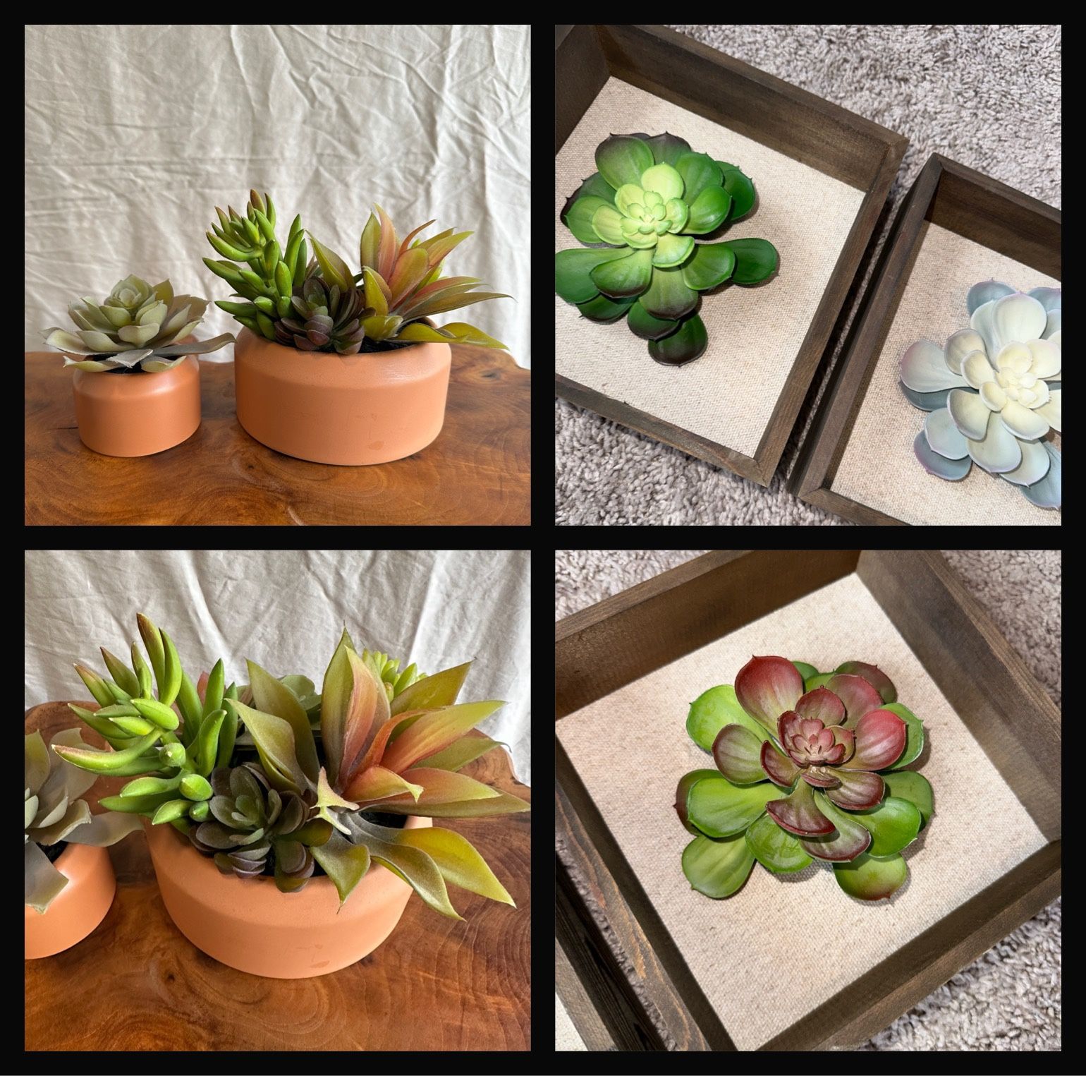 Decorative Faux Succulents