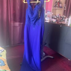 Cinderella Color Royal M