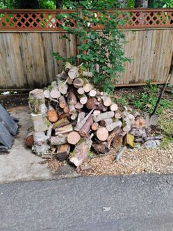 Fire wood and fire starter
