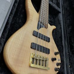 Tune TWB-5 string bass guitar
