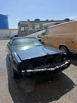 1981 Trans Am Turbo