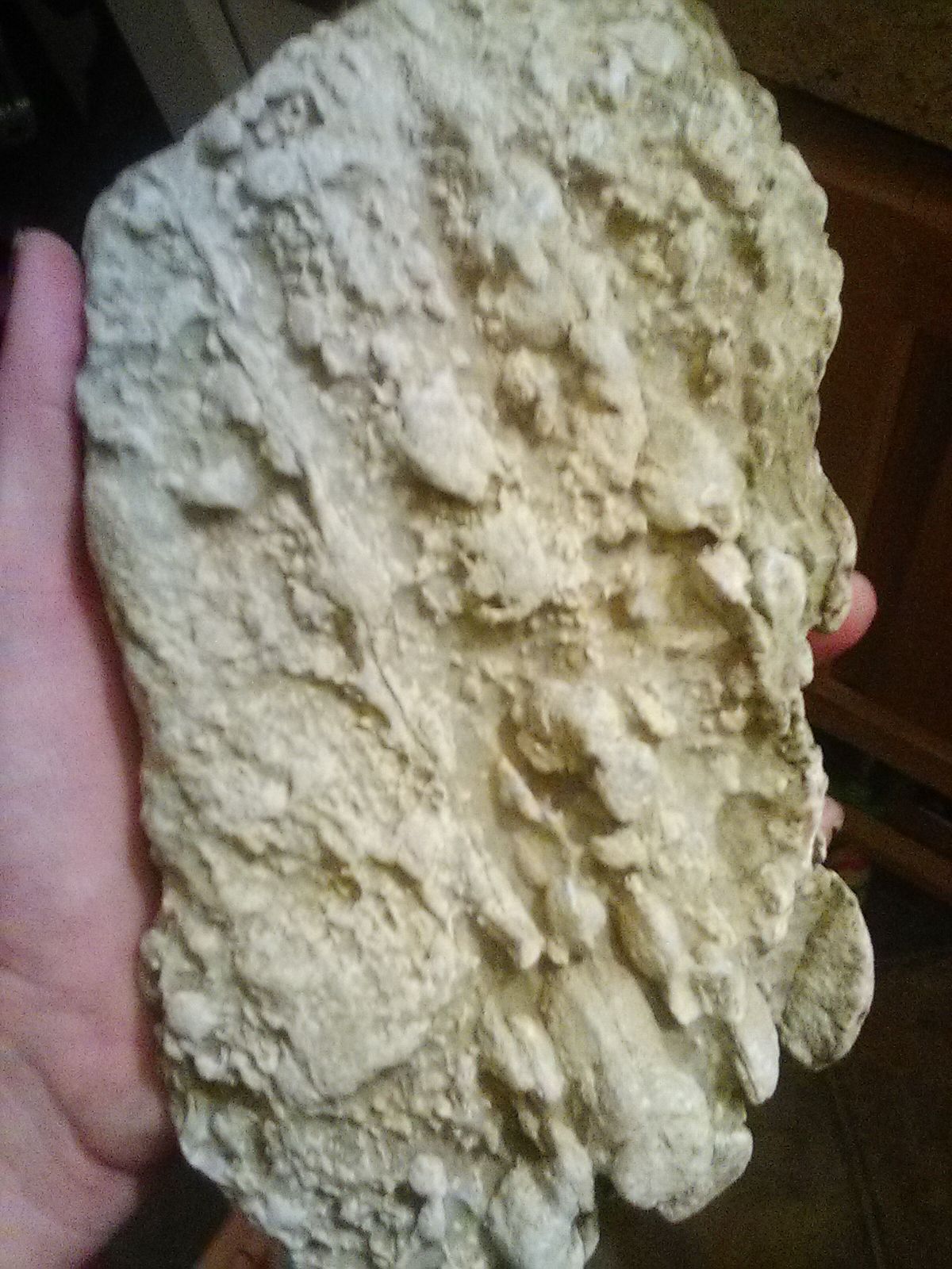 Fossil