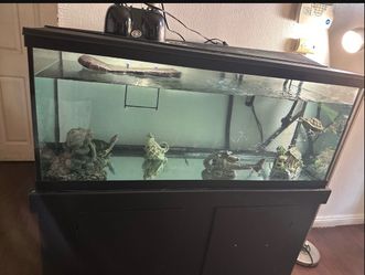 Fish tank 70 gallons