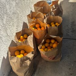 Fresh Oranges 